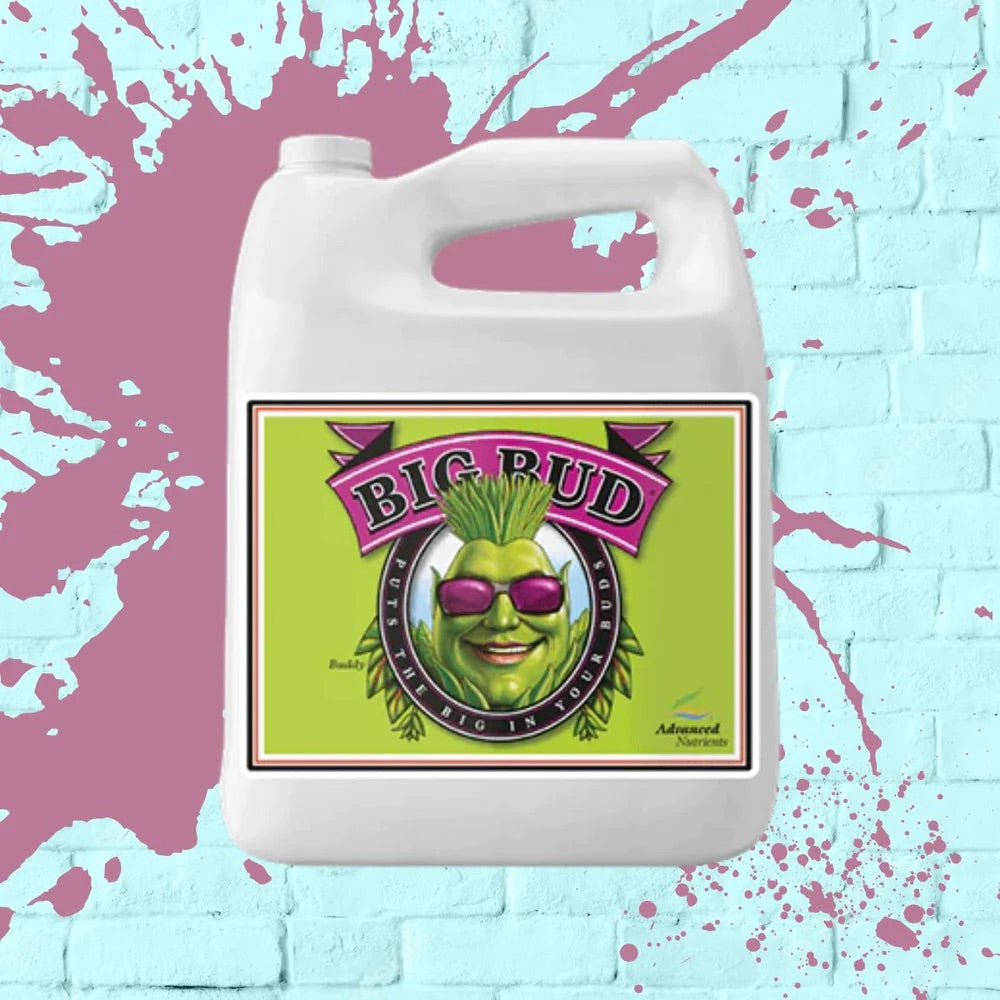 Advanced Nutrients Big Bud 1L